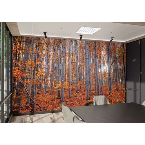 Wallity Tapete za zid MDK-00127, 300x270 cm, Šarena Cene