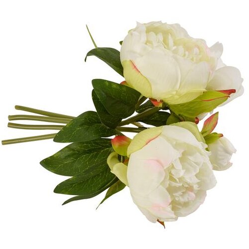  PEONIJA KREM 0011 FLOWERS Cijene