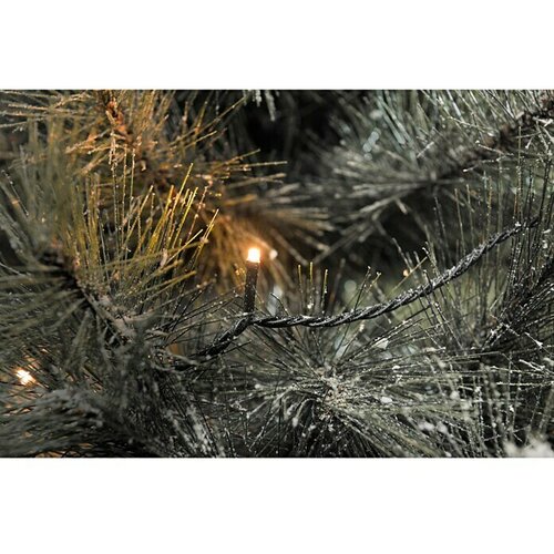 Konstsmide LED svetlobna veriga Micro LED (Za zunanjo uporabo, Barva svetlobe: Barva jantarja, &Scaron;tevilo svetlobnih elementov: 200 kos, Upravljanje z omrežjem) Cene