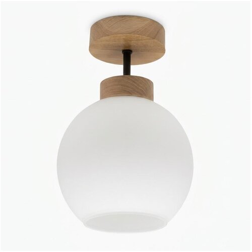 Brilagi LED Plafonski luster RETRO GLASS 1xE27/60W/230V prečnik 15 cm hrast/bela Cene