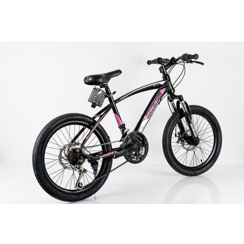 Winner Bike Bicikle BIC.20"/6 SUS GENESIS VALVET Cene