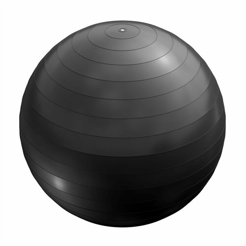  lopta za pilates (55 cm / Crna) Cene