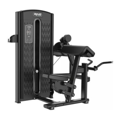 Ring Sprava za biceps i triceps Extension RP INF19, 2u1 Cene