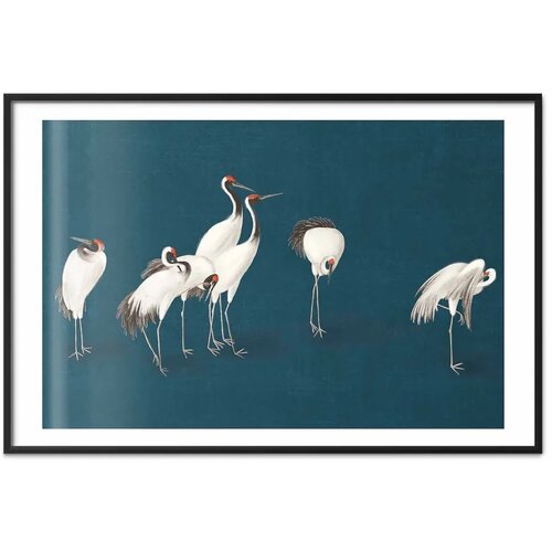  Plakat - Evening at the Pond - group of cranes drawn in dry pastel on a dark turquoise background 60x40 Crni okvir s margom Slike