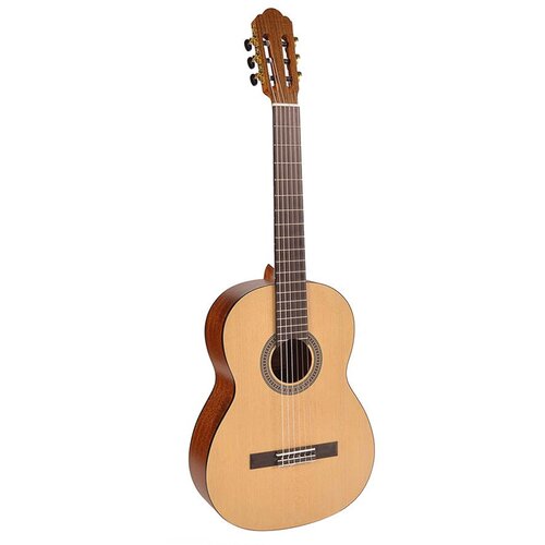Salvador klasična gitara CS-244 Cene