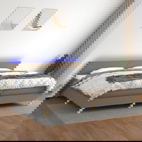 The Living Store Box spring postelja z vzmetnico LED taupe 200x200 cm blago - Box Spring Postelja, (21518920) Cene