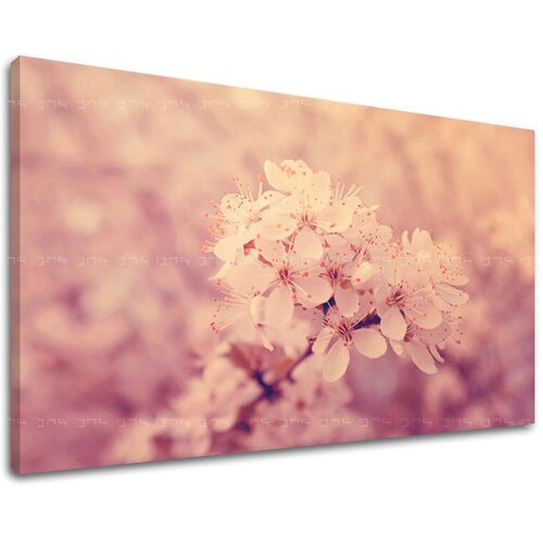  Slike na platnu cveće  (moderne slike na platnu) Cene