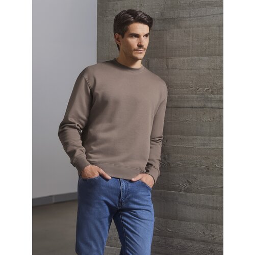 RUSSELL Authentic Brown Men&amp;#039;s Sweatshirt Slike