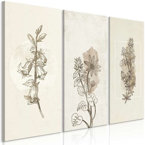 Slika - Herbarium (3 Parts) 90x60 Cijene