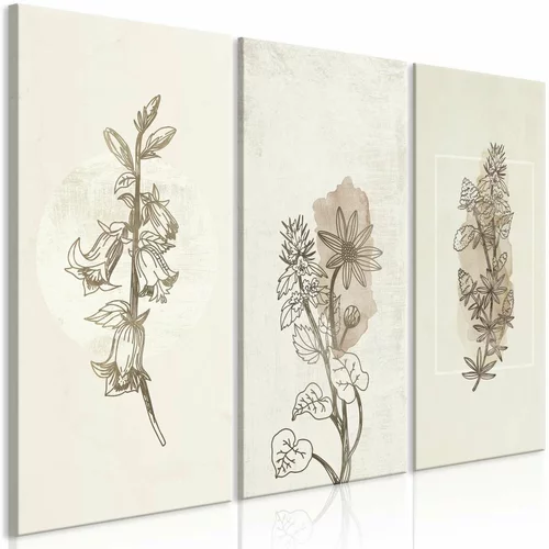  Slika - Herbarium (3 Parts) 90x60