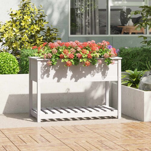 VidaXL Sadilica s policom bijela 111 5x54x81 cm od masivne borovine Slike