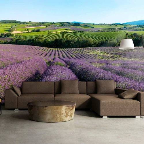  tapeta - Lavender fields 200x154