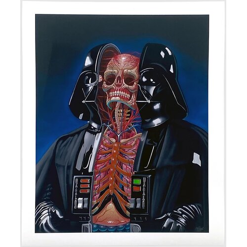 Nychos Dissection of Darth Vader Fine Art Print multicolor Slike
