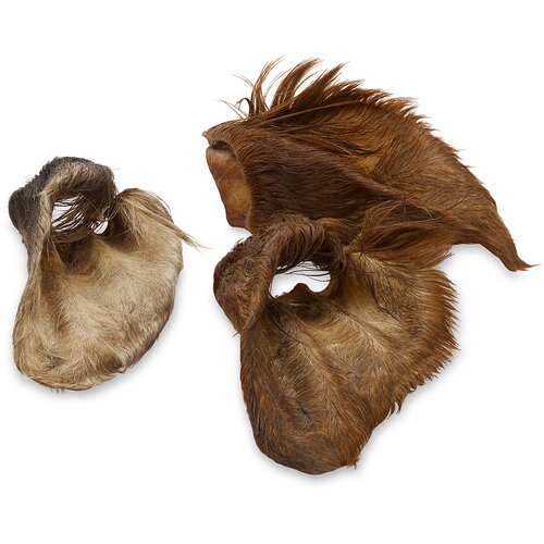 Wolf of Wilderness - goveji uhlji z dlako - 120 g (3 kosi) Slike