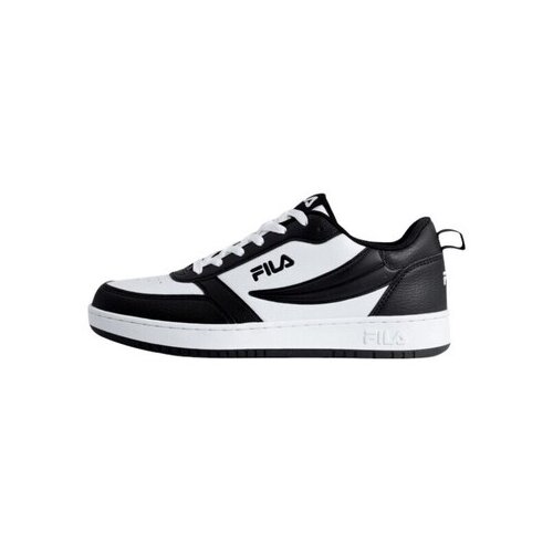 Fila Rega sarena Slike