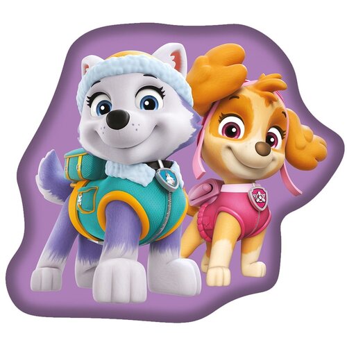 Jerry Fabrics Dječji jastuk od flisa Paw Patrol &amp;ndash; Slike