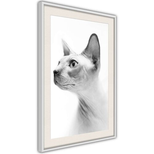  Poster - Sphinx 20x30 Slike