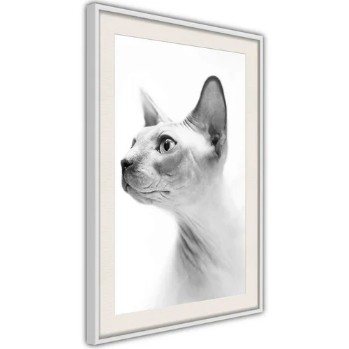  Poster - Sphinx 20x30