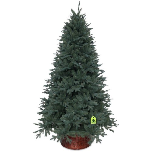 Můj Stromeček Umetna jelka vi&amp;scaron;ina 210 cm Silver Spruce &amp;ndash; Slike