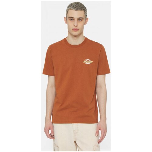 Dickies Ss ruston tee Smeđa Slike