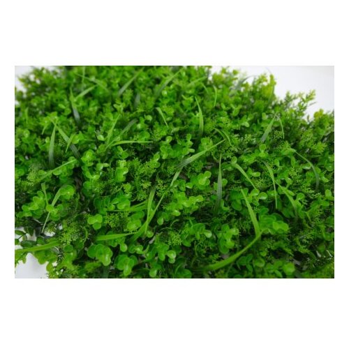 BOLZZ zeleni zid 3D wild 40X60 cm bolzzidwild Cene