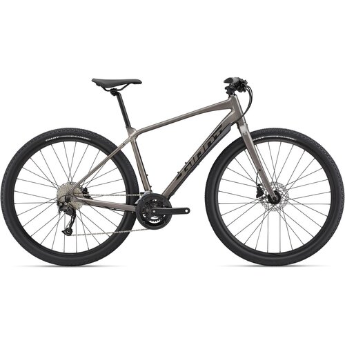  Bicikl GIANT ToughRoad SLR 2 Metal - XL Cene