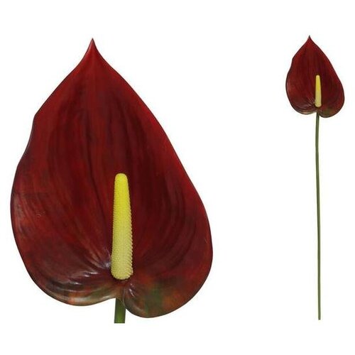  ANTURIUM 84CM PVC Cijene