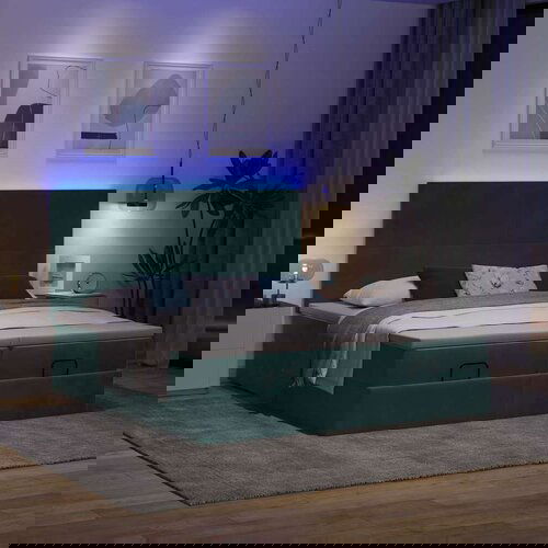 vidaXL Otomanski posteljni okvir z vzmetnicami zelen 160x200 cm žamet, (21611977) Cene