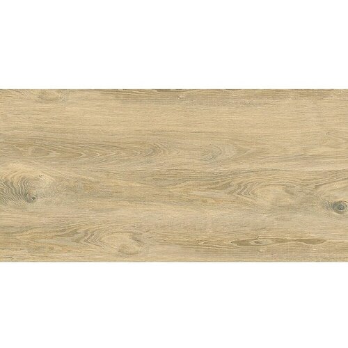 Cersanit Gpt1003 Light Brown 59,8x119,8 Mat Cene