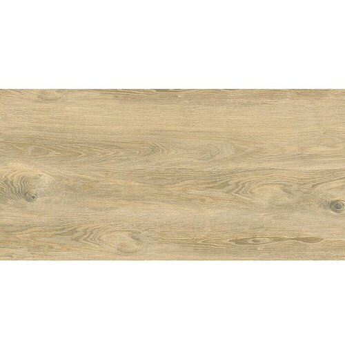 Cersanit Podna pločica Perfect Wood (D x Š: 60 x 120 cm, Svijetlo smeđa) Cijene