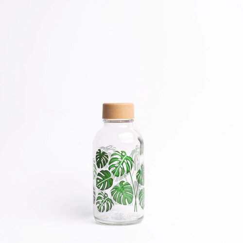 Carry Bottle Steklenica - Green Living 0,4 litra Cene