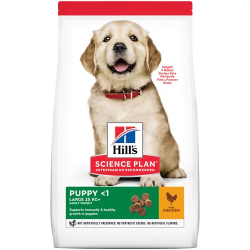 Hill’s Science Plan Puppy <1 Large s piletinom - 14,5 kg