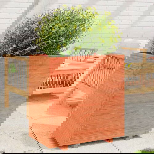 VidaXL Vrtna sadilica vo&amp;scaron;tano smeđe boje 70x40x72 5 cm od borovine Slike