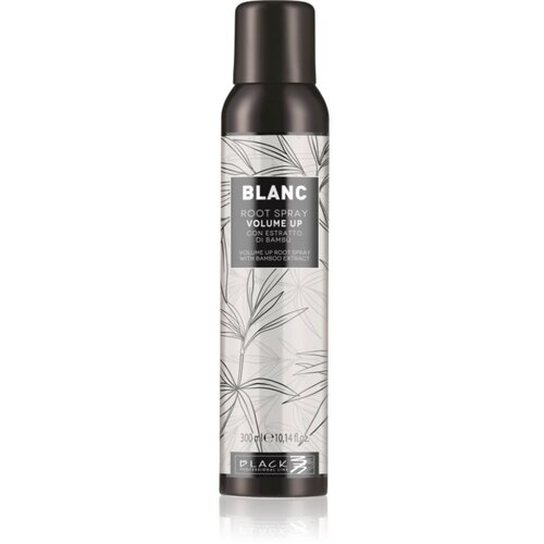 Black Professional Line Line Volume Up Root Spray sprej za volumen za nježnu kosu 300 ml Cijene