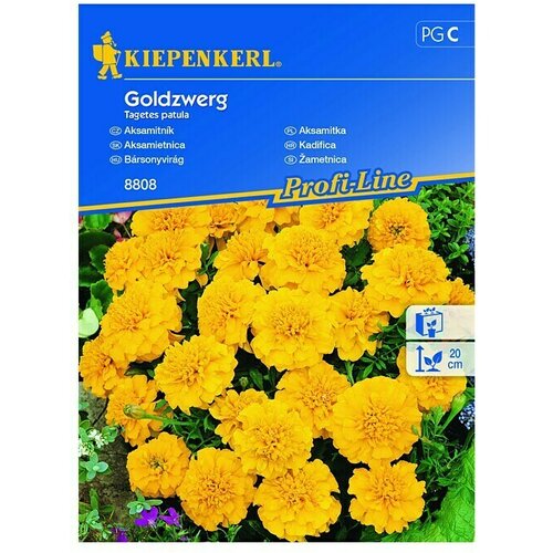 KIEPENKERL Profi-Line Sjeme cvijeća Kadifica Goldzwerg (Tegetes patula, Žuta) Cijene
