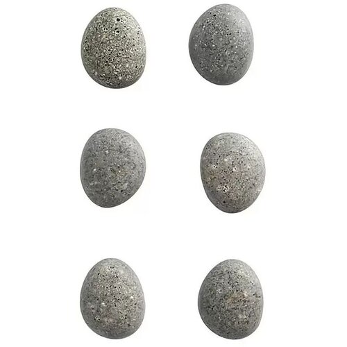 ZELLER Komplet magnetov Present stone (6 kos, premer: 2,1 cm) Slike