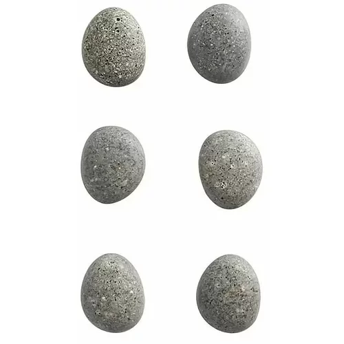 ZELLER Komplet magnetov Present stone (6 kos, premer: 2,1 cm)