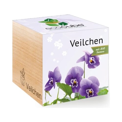 Feel Green ecocube "Vijolice" Cene