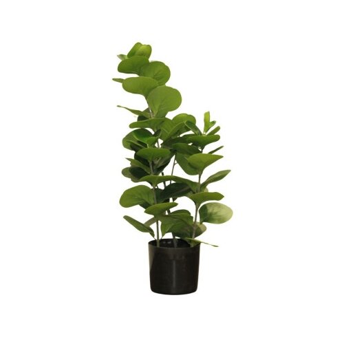 Dekordom Cvet u saksiji - douban yh1908-55cm-66l - 55cm - n55 ( 025084 ) Cene