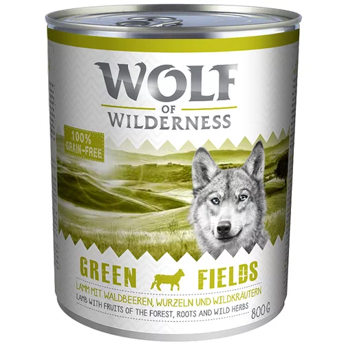 Wolf of Wilderness Varčno pakiranje Adult 24 x 800 g - Green Fields - jagnjetina