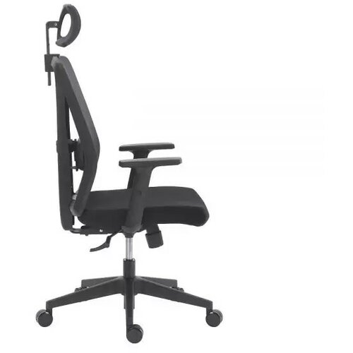 Ergonomska radna stolica IQ STANDARD ( M 297 standard ) Slike