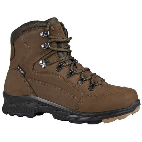 Alpinus Visoke superge Atawiros pisana Cene