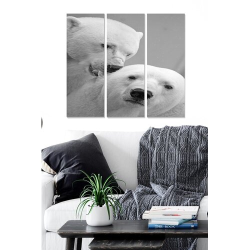 Wallity Set slika MDF196317, 3 dijela Cene