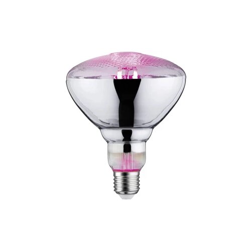 PAULMANN LED svjetlo za rast biljaka 230 V E27 6.5 W jantar 1 St. Cijene