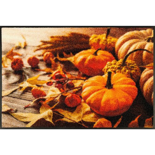 wash+dry PREDPRAŽNIK Pumpkin Glow 50/75 cm potiskano večbarvno Cene