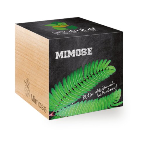 Feel Green ecocube &amp;quot;Mimoza&amp;quot; Slike