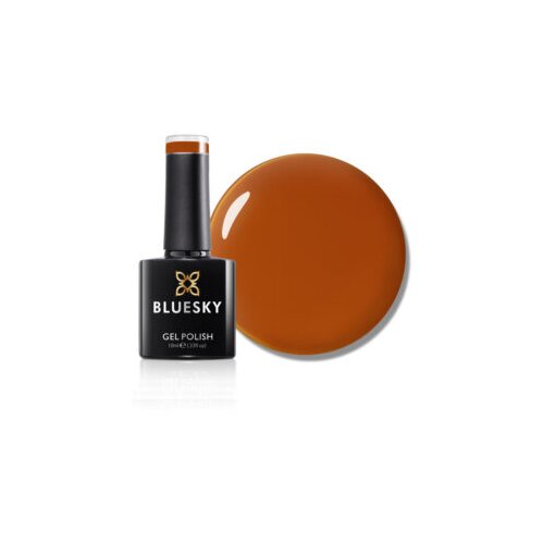  BLUESKY TERRA RADIANCE TRAJNI LAK 10ML Cijene