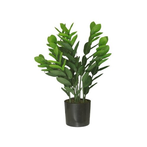 Dekordom Cvet u saksiji - money grass 9pcs - n60 ( 025152 ) Cene