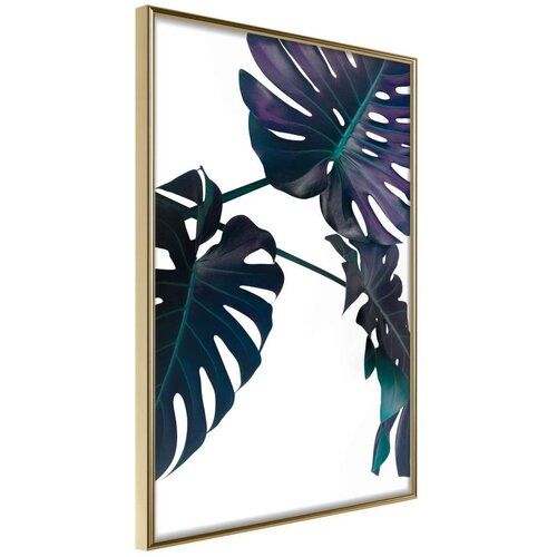  Poster - Evergreen Monstera 40x60 Cijene