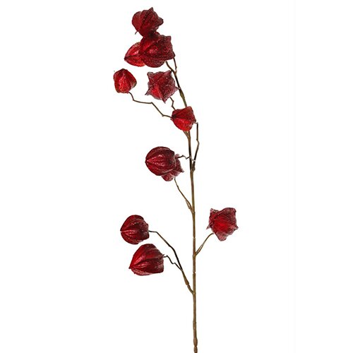  Ve&amp;scaron;tačka grana cveća Physalis, 80cm, Crveni Slike